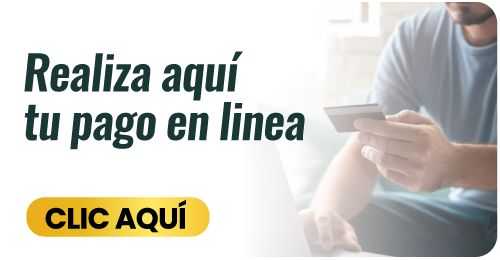 boton para pago