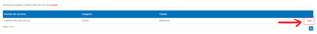 tutorial pagos